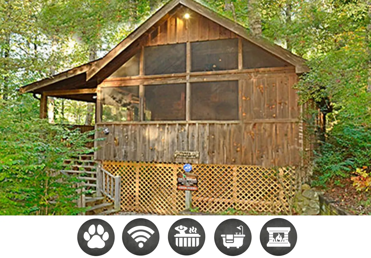 The image showcases the rustic wooden exterior of a cozy cabin nestled among lush trees. A spacious, screened-in porch dominates the front, with inviting steps leading up, perfect for morning coffee or evening gatherings. The tranquil forest surroundings offer a sense of peaceful seclusion, embodying the charm of a Smoky Mountains escape.